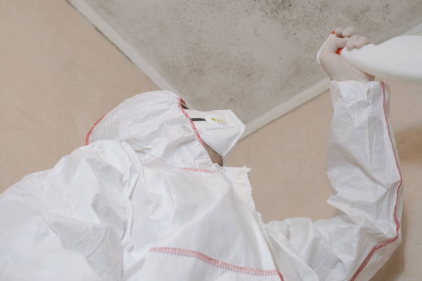 Best Industrial Mold Remediation in East Gaffney, SC
